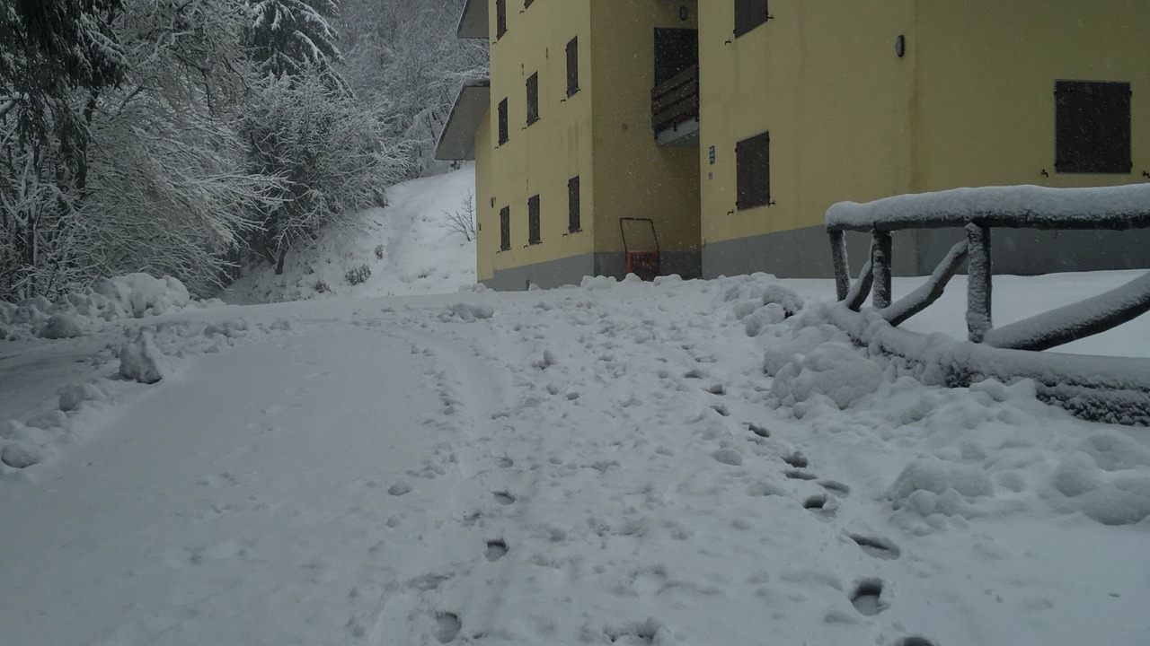 Photo of Outdoor in Abetone