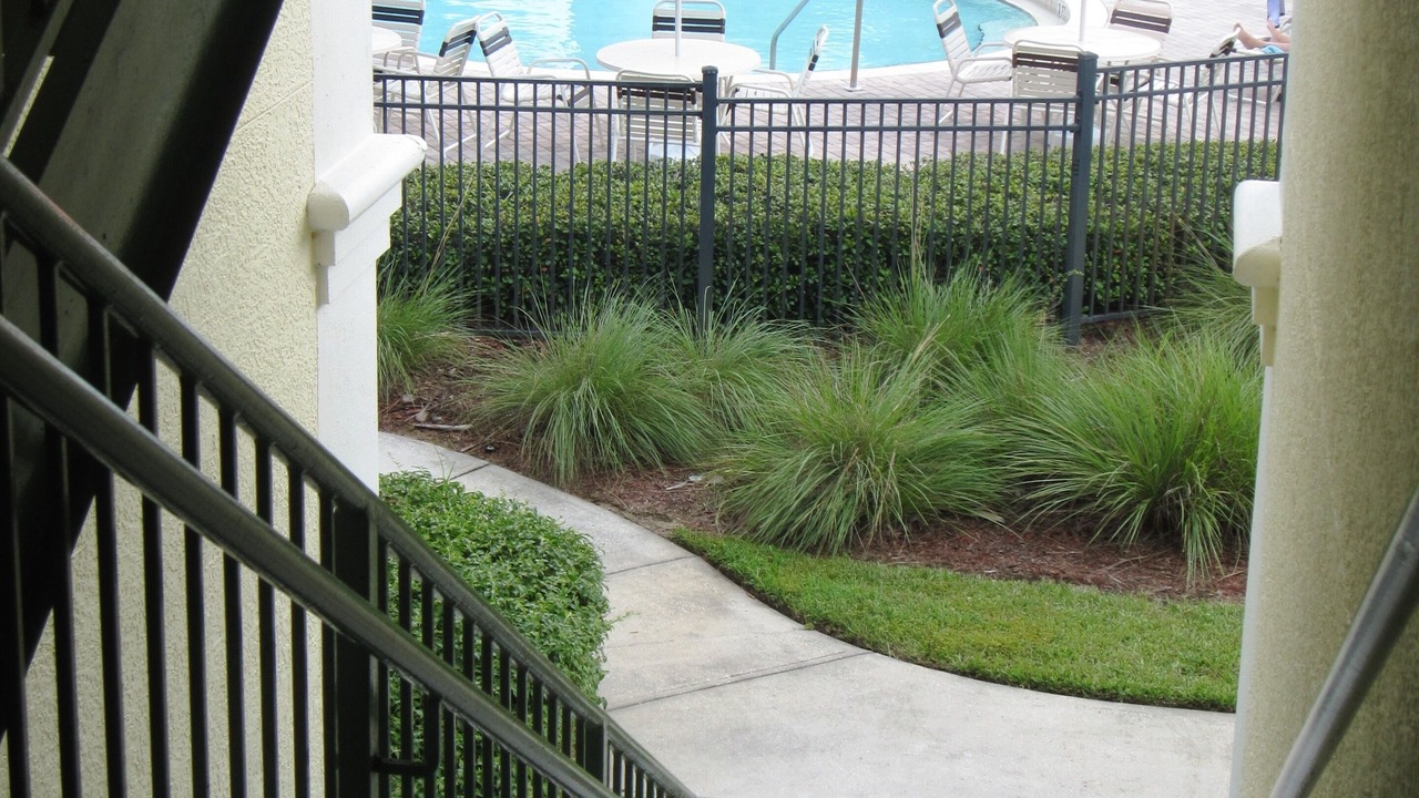 Photo of Outdoor in West Kissimmee