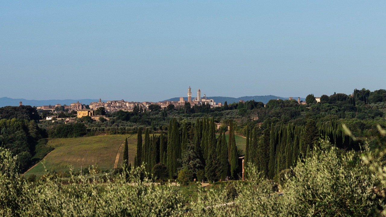 Photo of Others in Siena