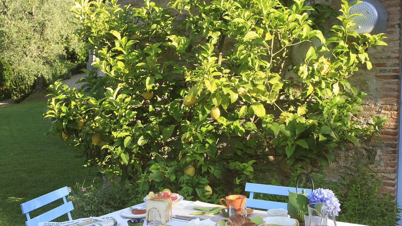 Photo of Outdoor in Nocchi