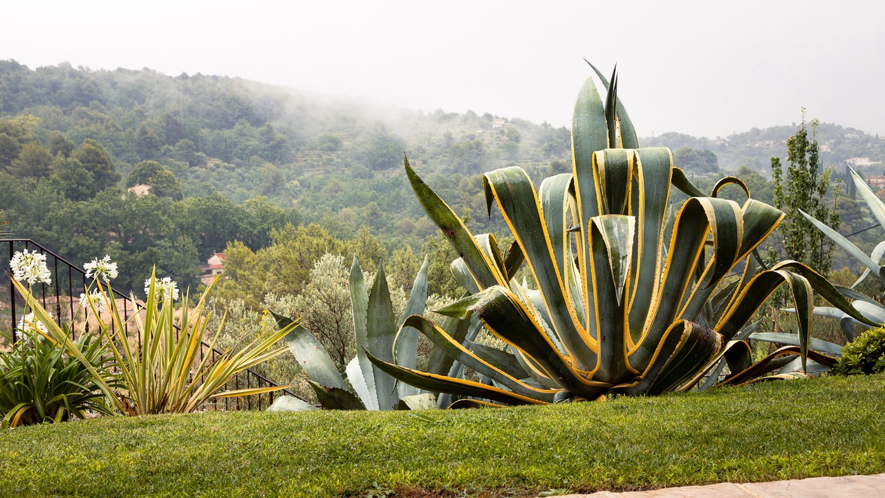 Photo of Outdoor in Fayence