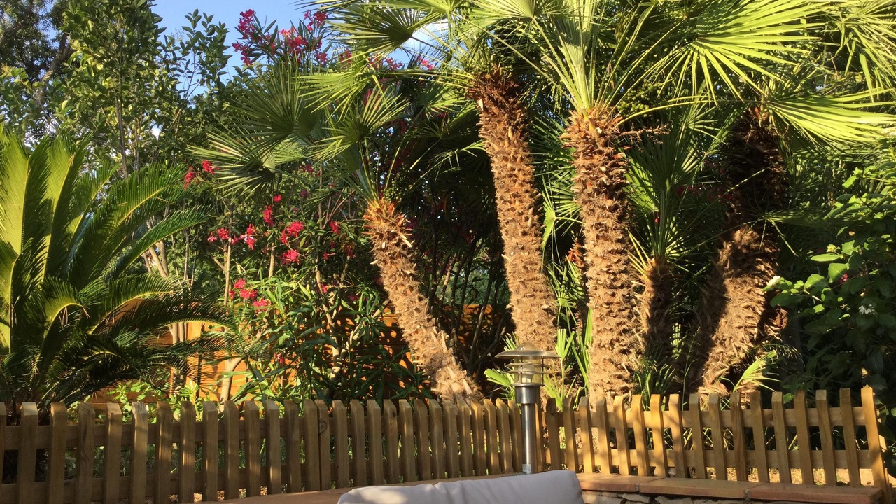 Photo of Outdoor in Boulouris-sur-Mer