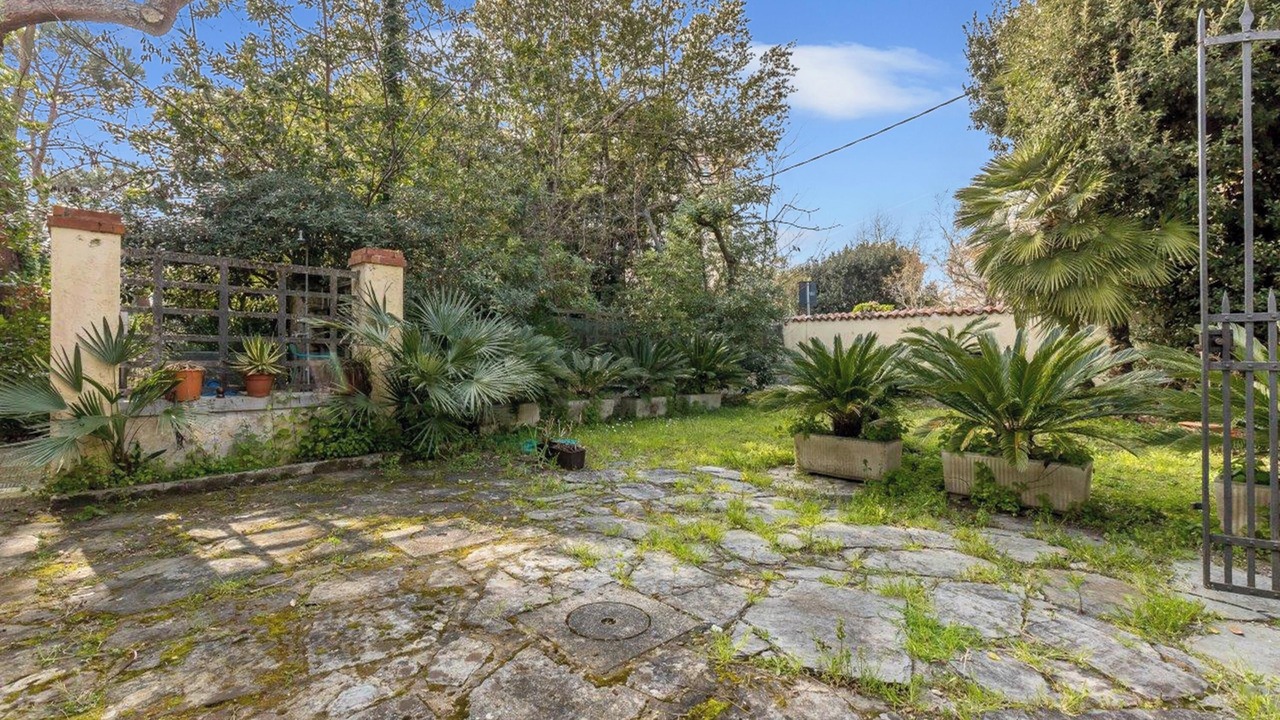 Photo of Outdoor in Marina di Pietrasanta