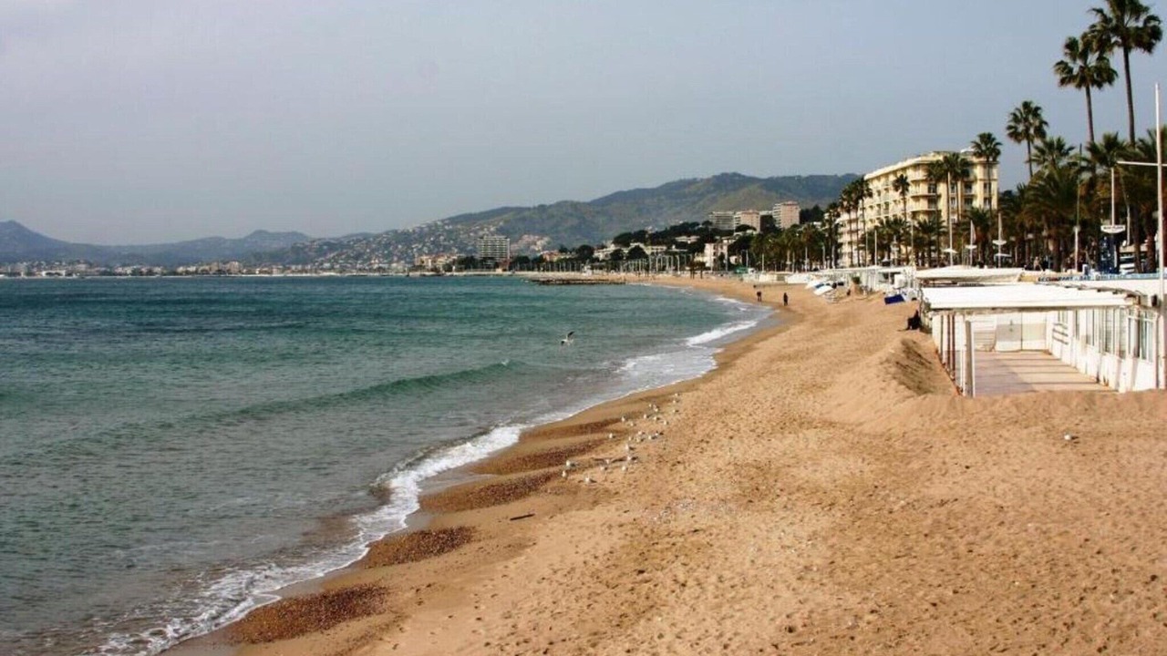 Photo of Others in Cannes City Centre