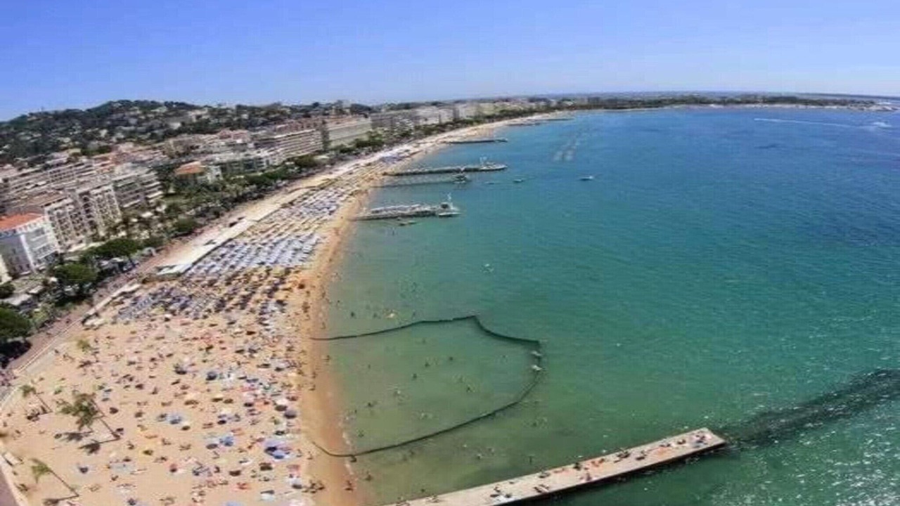 Photo of Others in Cannes City Centre