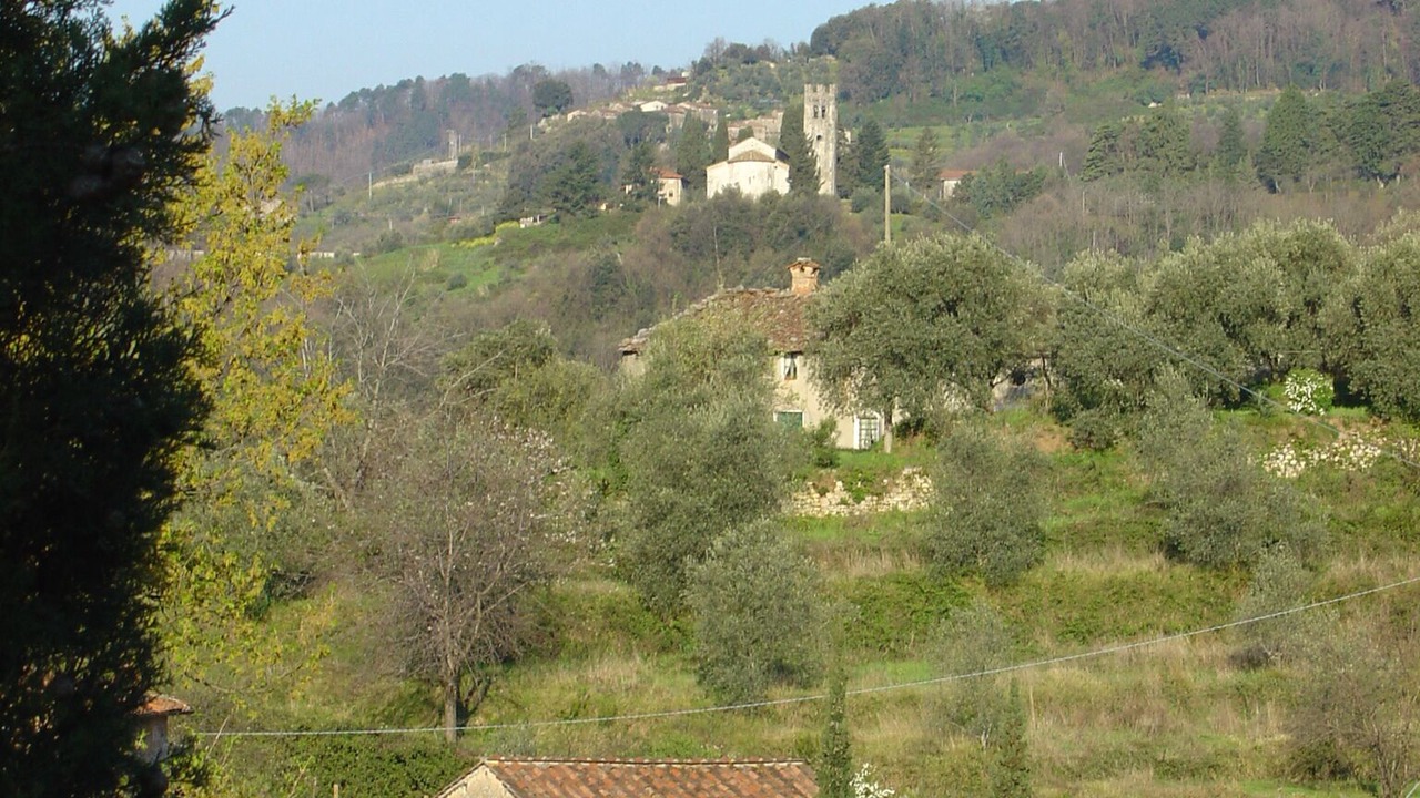 Photo of Others in Pescaglia