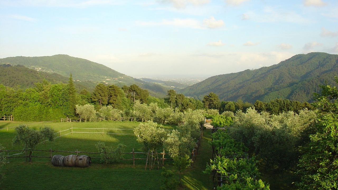 Photo of Others in Pescaglia
