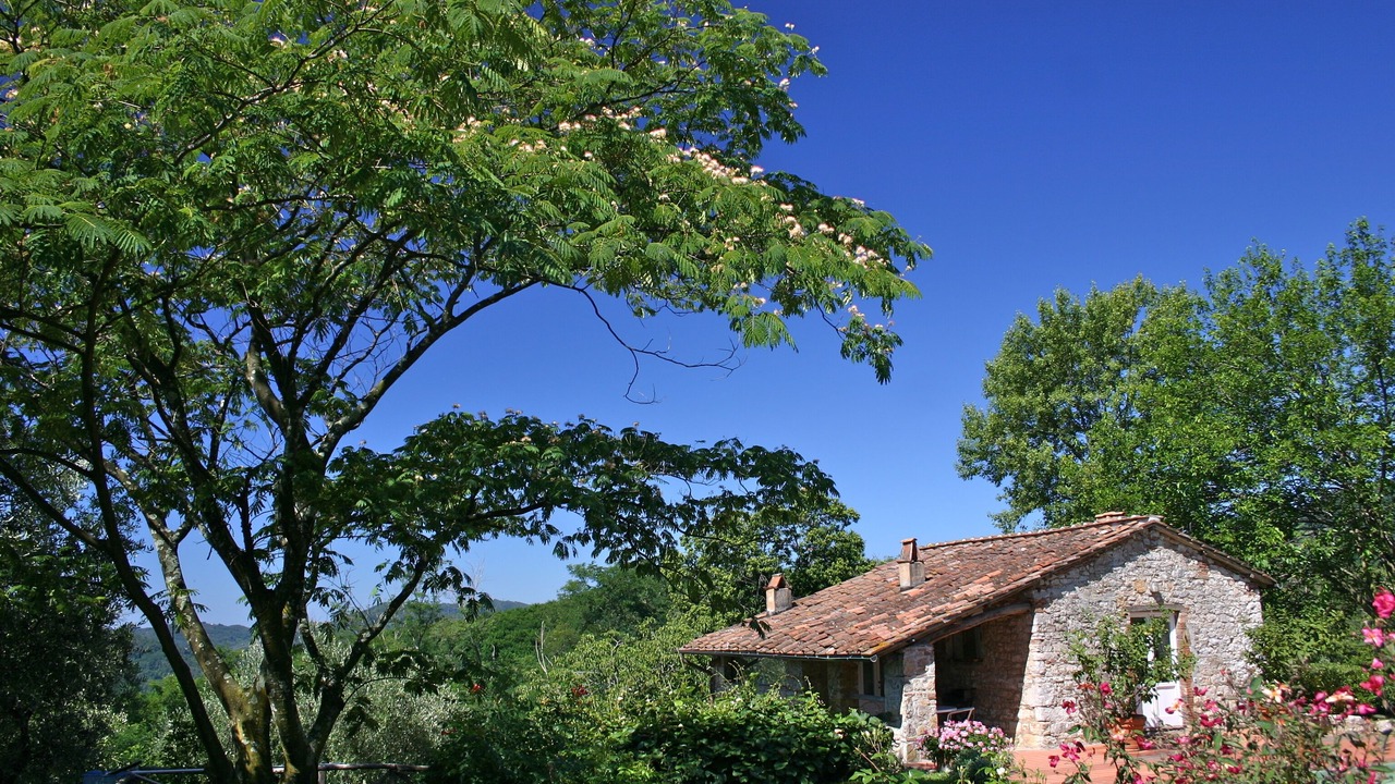 Photo of Others in Pescaglia