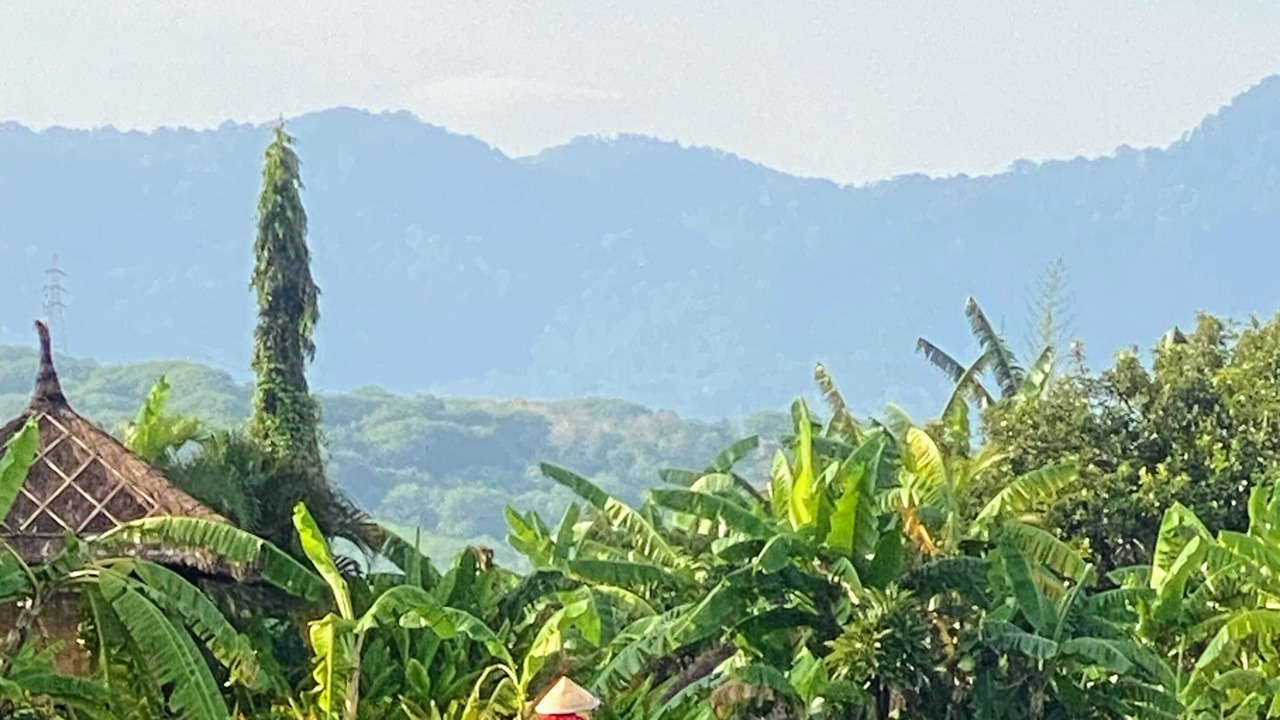 Photo of Others in Umeanyar