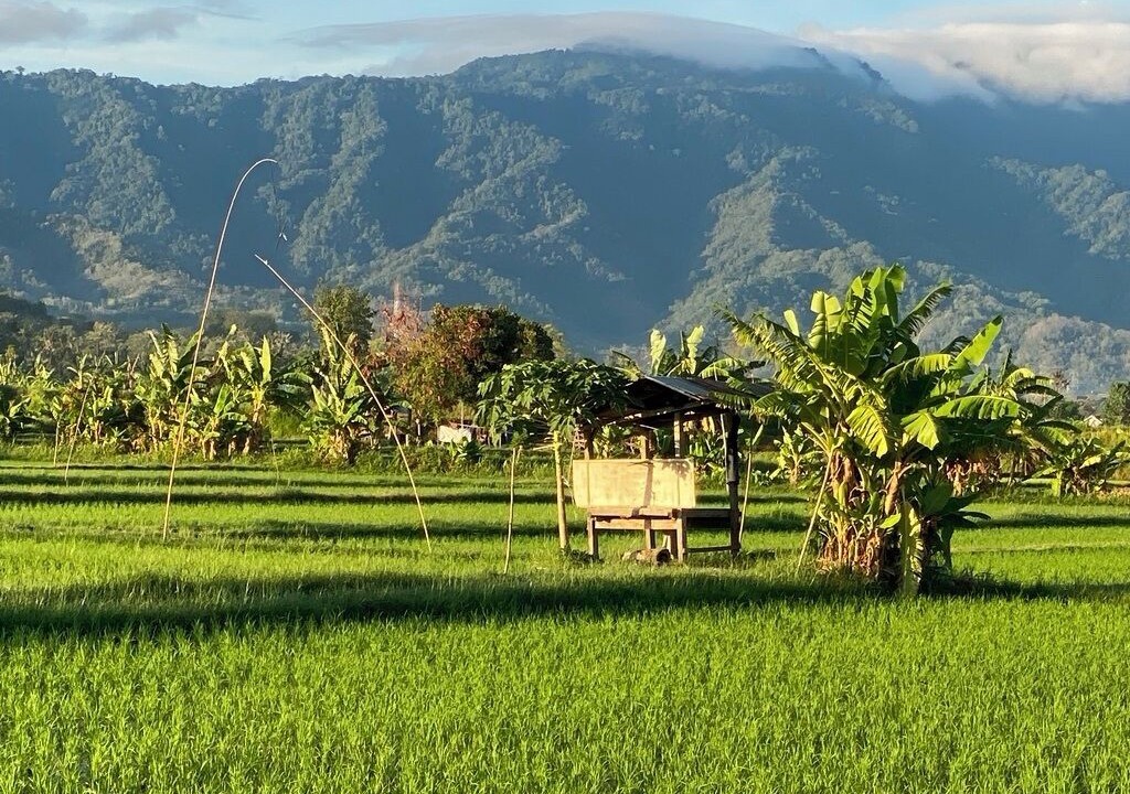 Photo of Others in Umeanyar