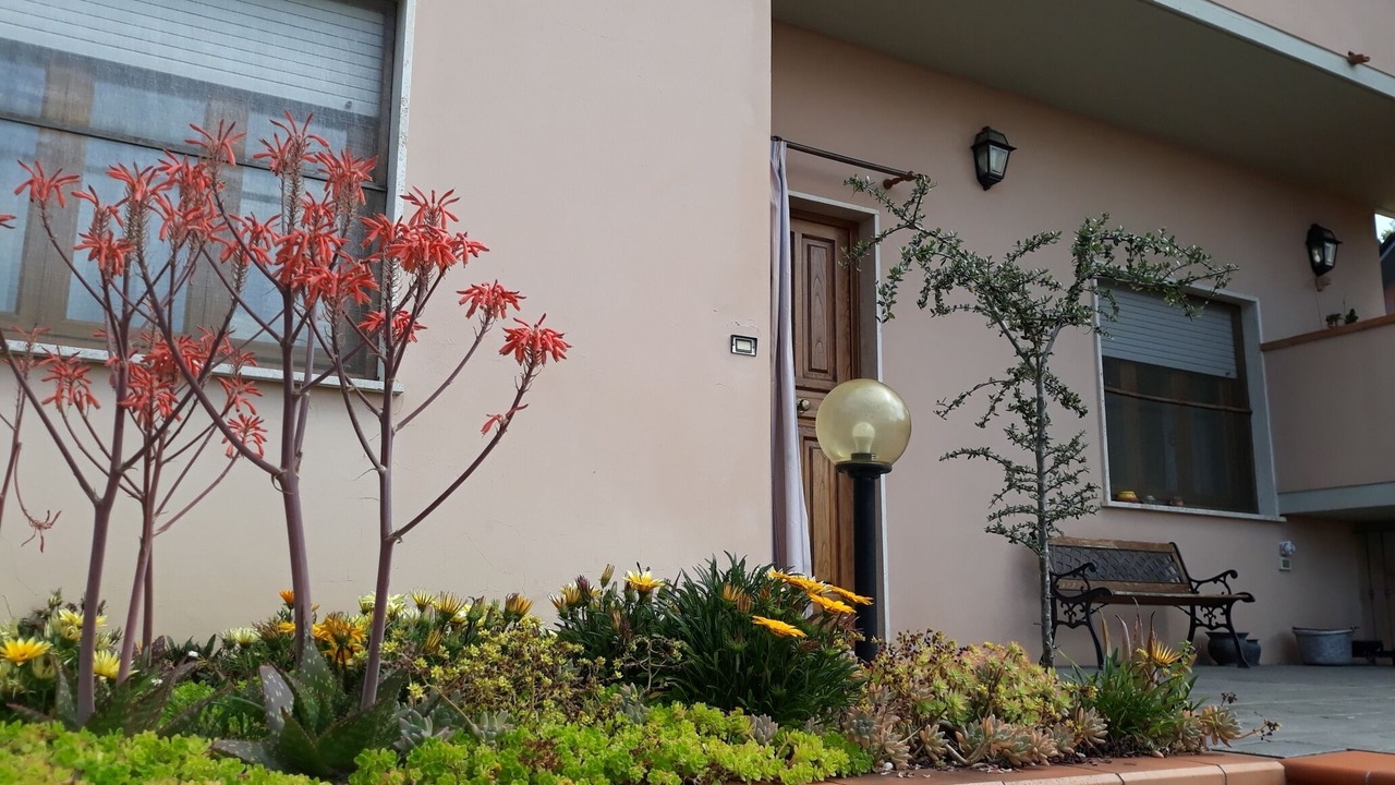 Photo of Outdoor in Corsanico-Bargecchia