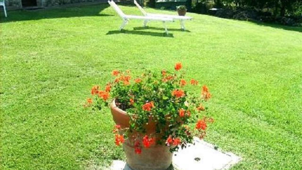 Photo of Outdoor in Poggiarello