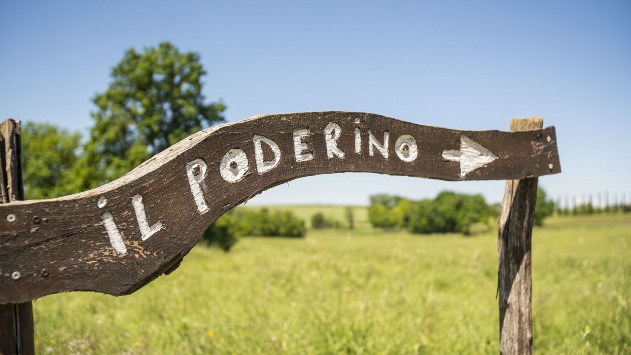 Photo of Outdoor in Poggiarello