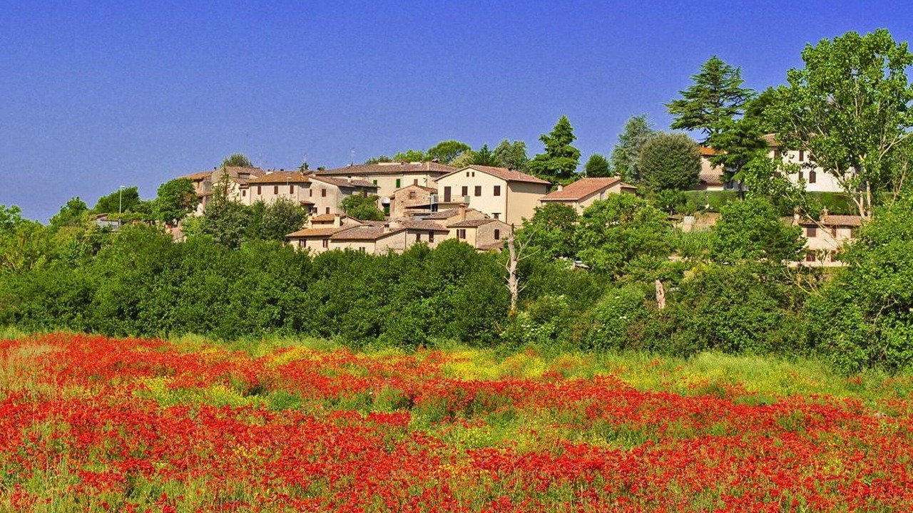 Photo of Outdoor in Poggiarello