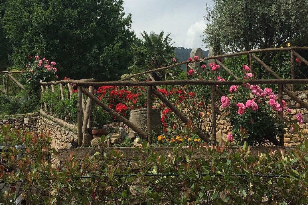 Photo of Outdoor in Lucca Historical Center