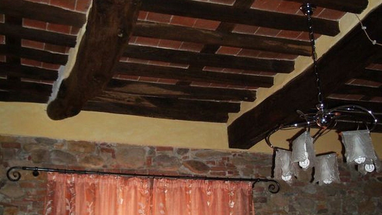 Photo of Others in Lucca Historical Center