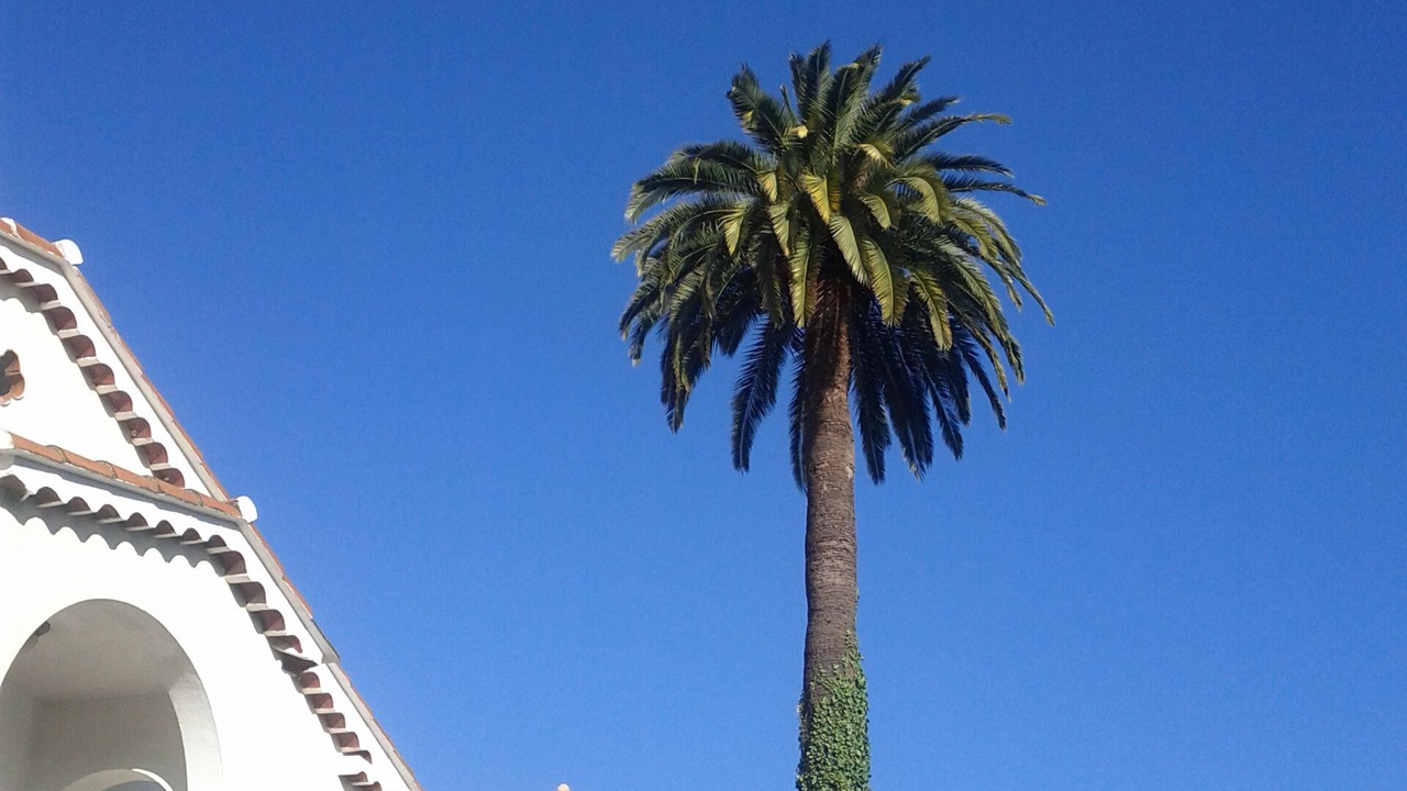 Photo of Outdoor in Cannes City Centre