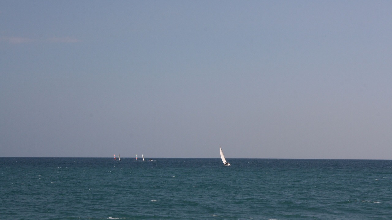 Photo of Others in Vence