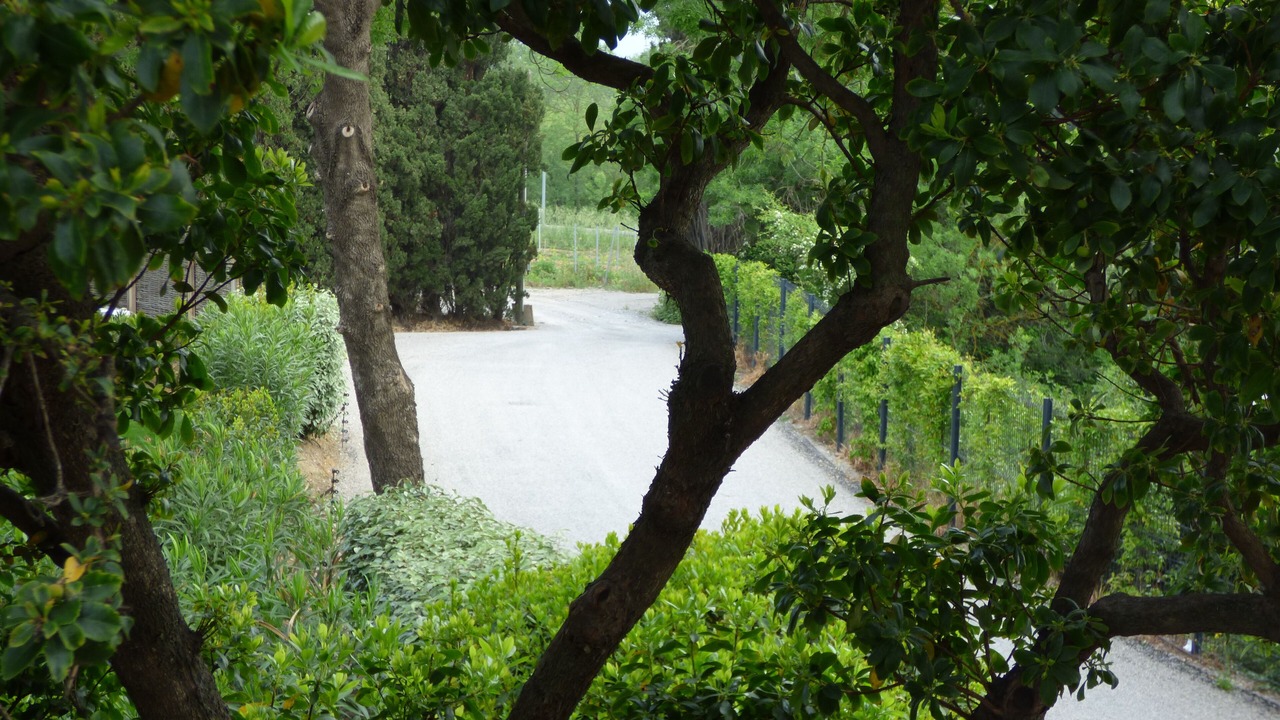 Photo of Outdoor in Gassin