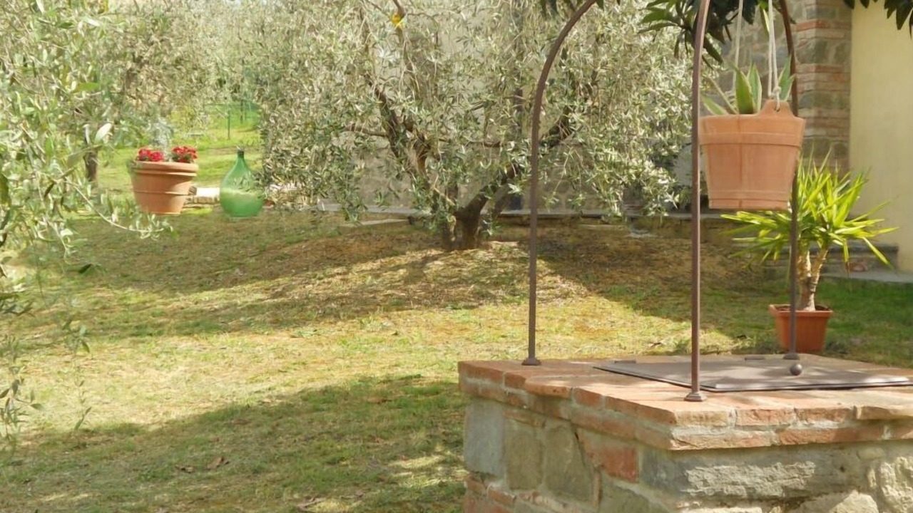 Photo of Outdoor in Foiano della Chiana