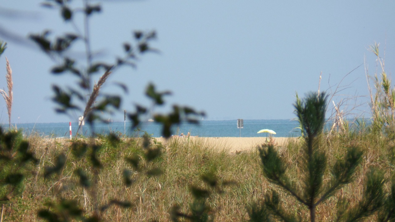 Photo of Others in Bibione