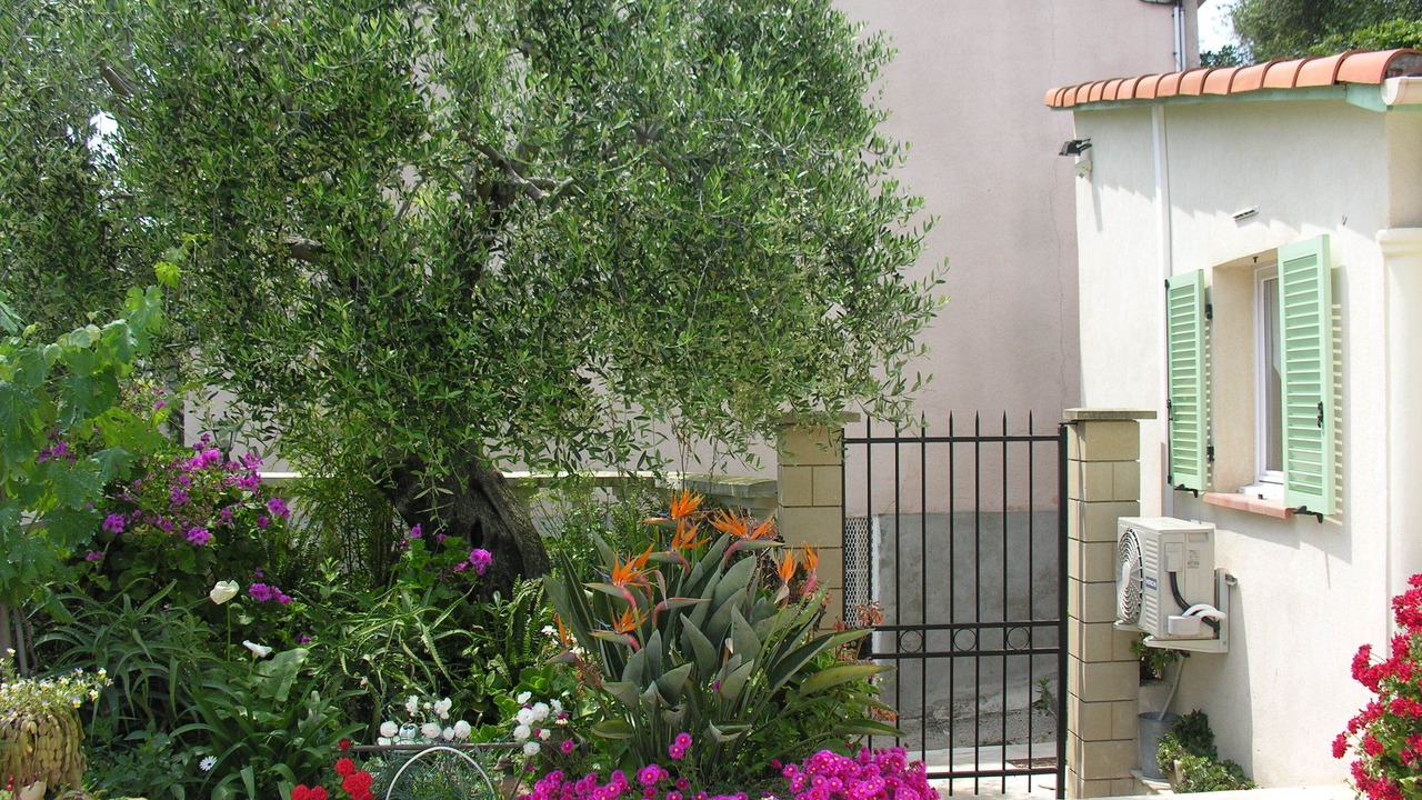 Photo of Outdoor in Menton