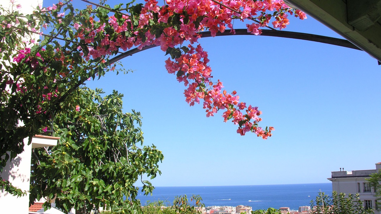 Photo of Others in Menton