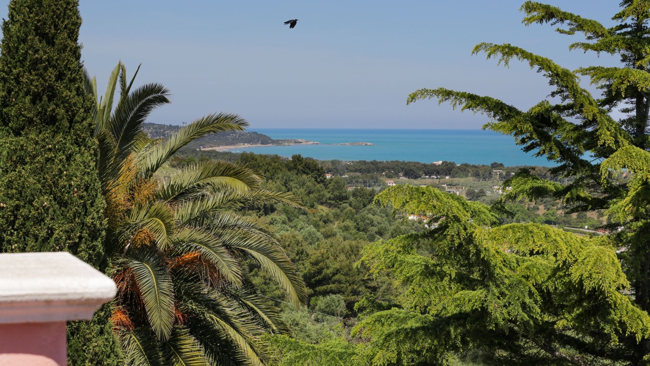 Photo of Outdoor in Defensola