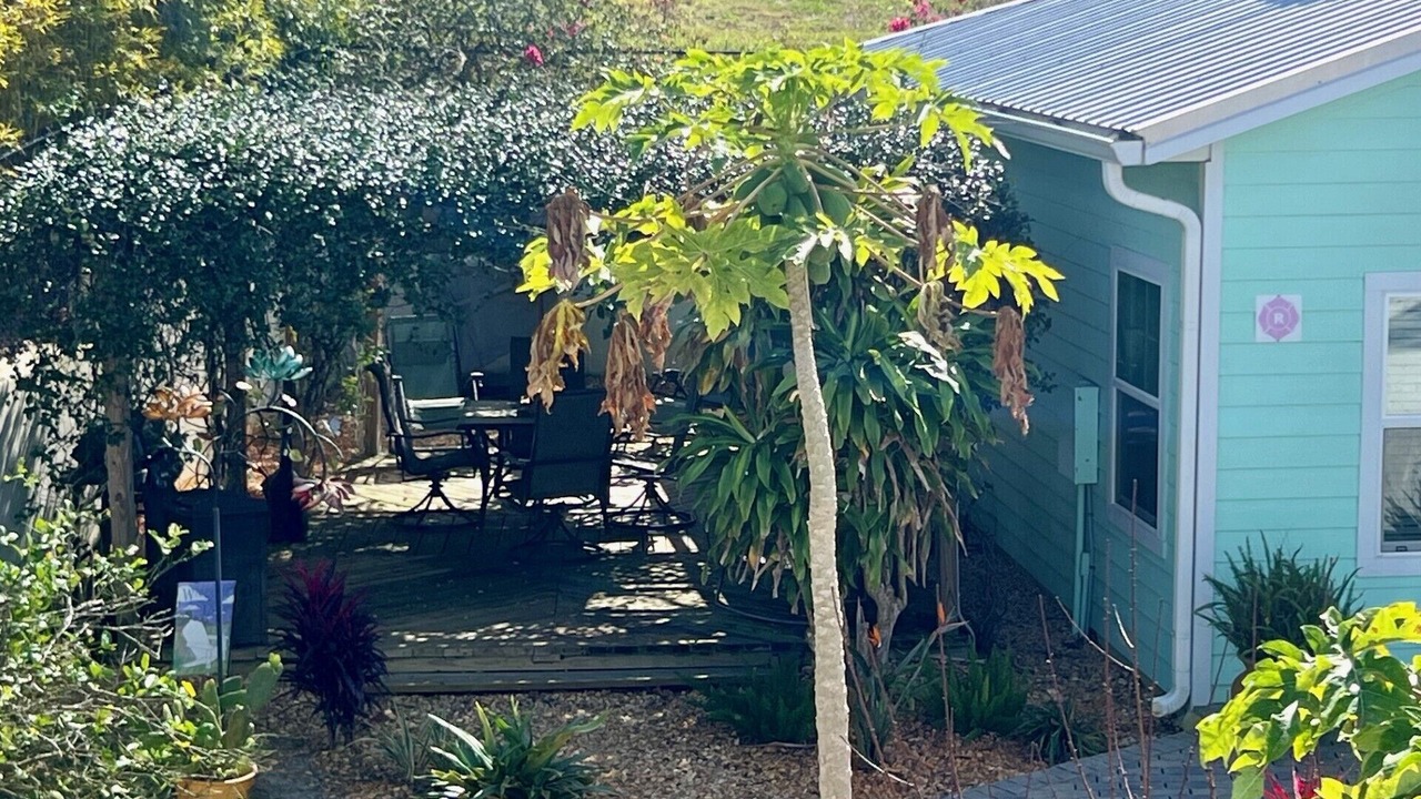 Photo of Outdoor in Clermont