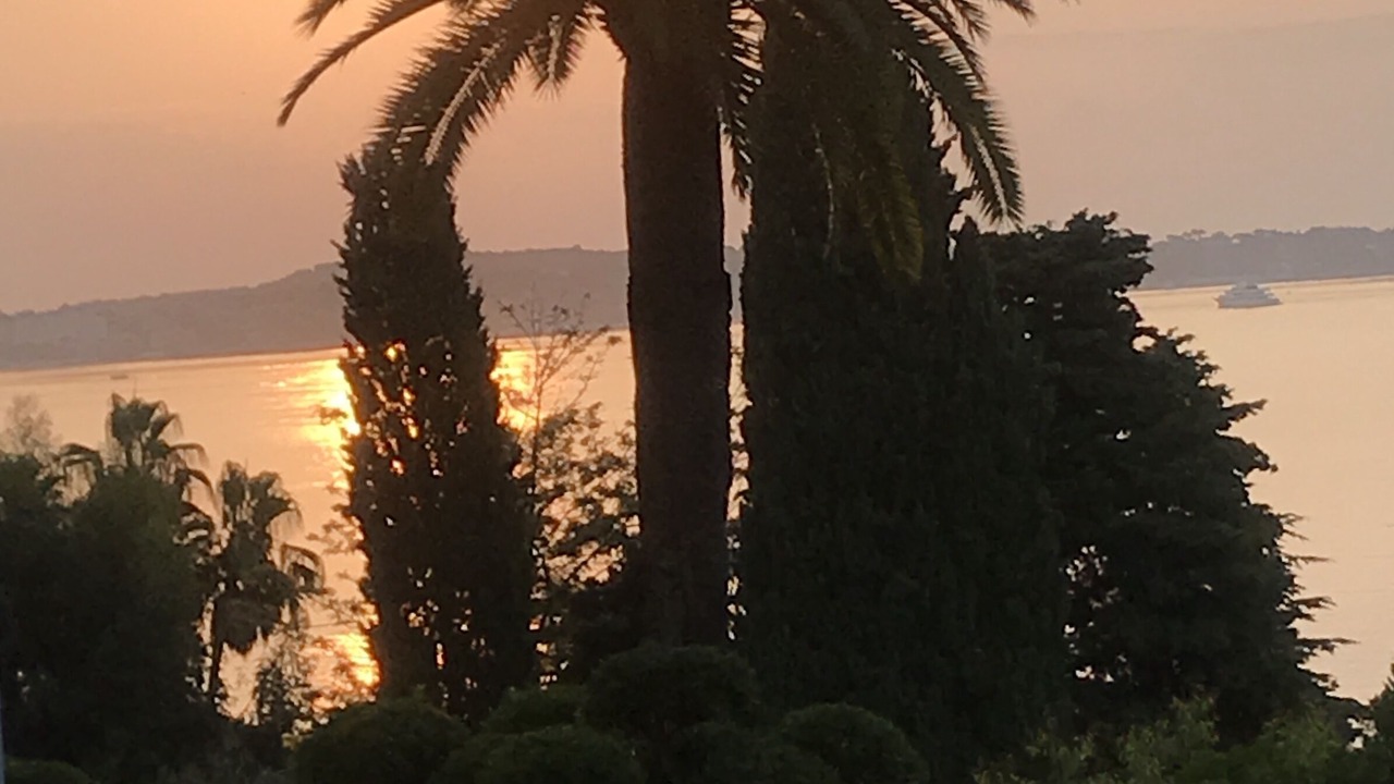 Photo of Outdoor in Vallauris