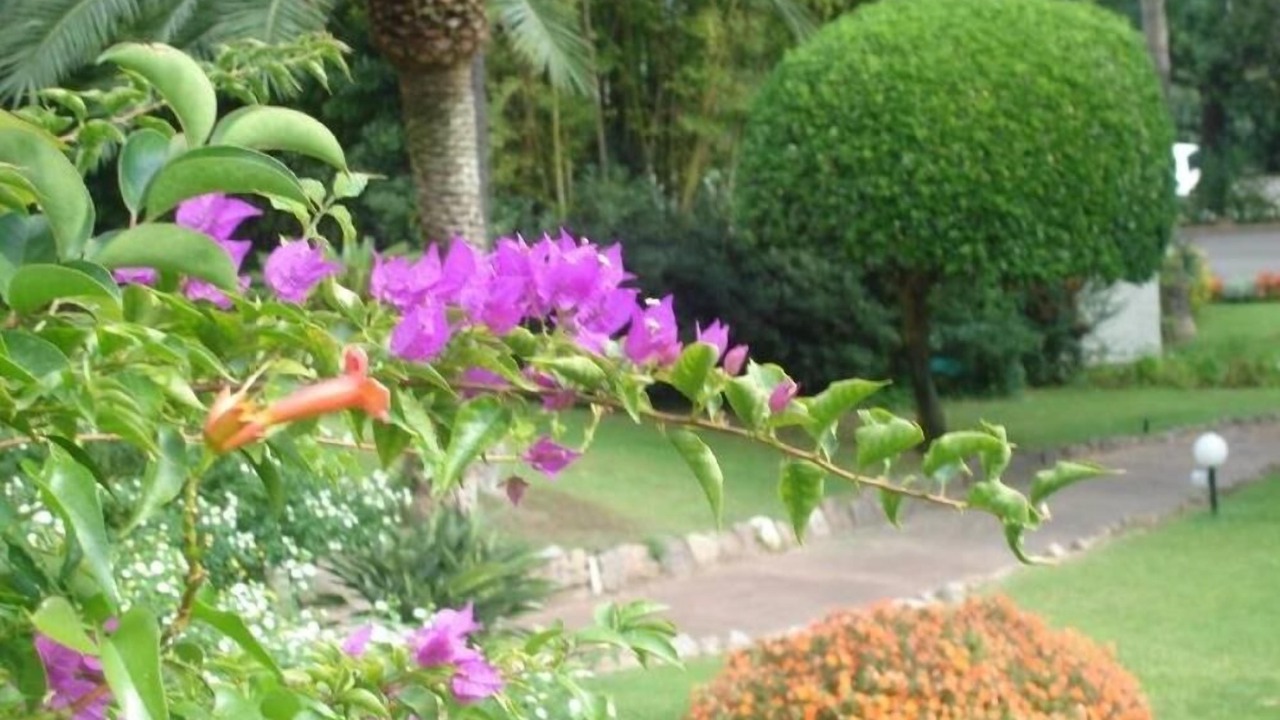Photo of Outdoor in Vallauris