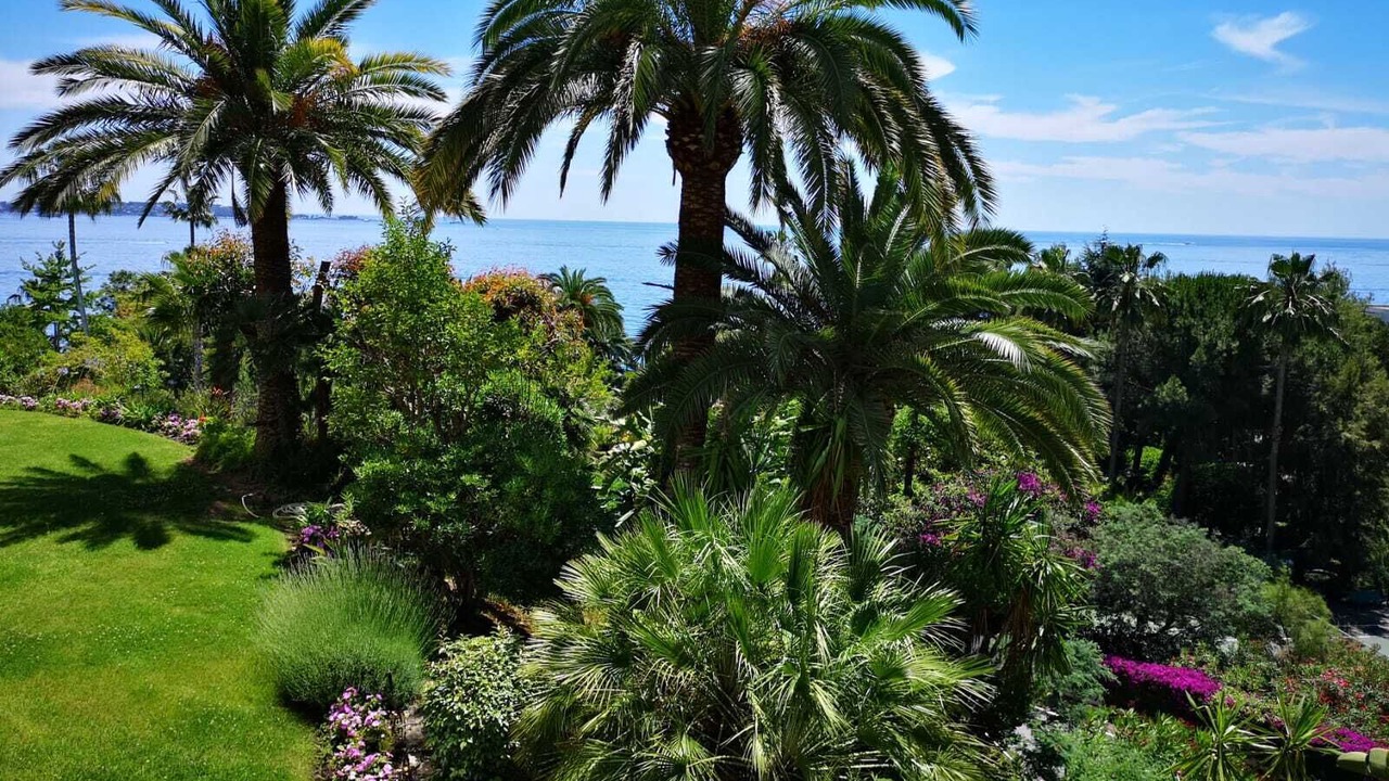 Photo of Outdoor in Vallauris