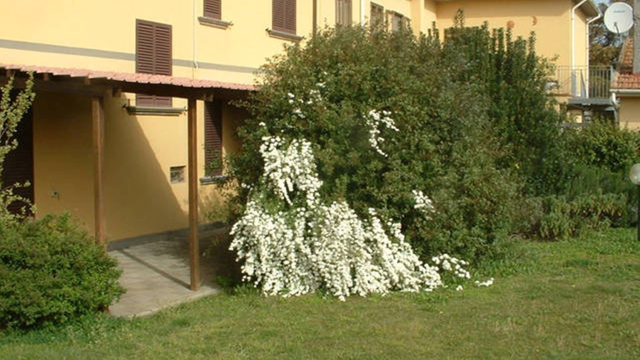 Photo of Outdoor in Cecina