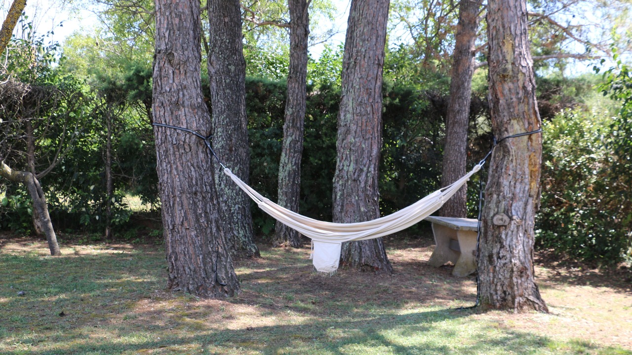 Photo of Outdoor in Fayence