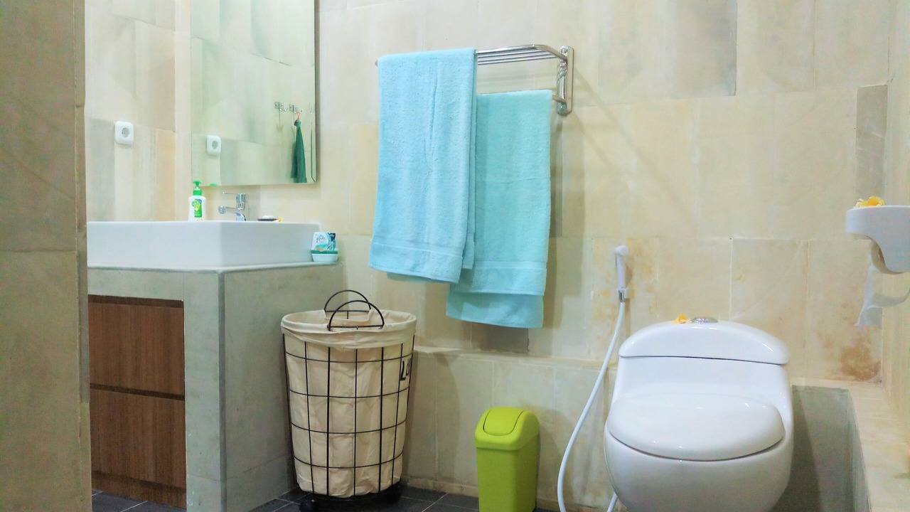 Photo of Bathroom in Temukus