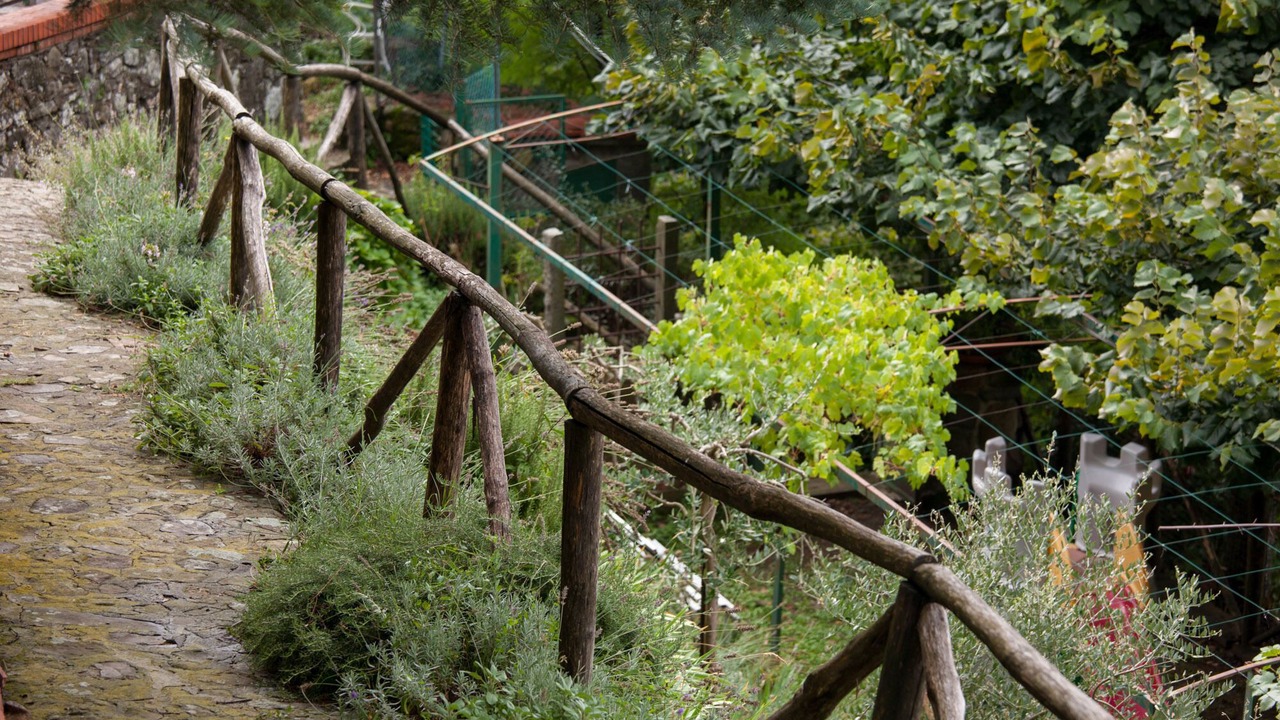 Photo of Outdoor in Boveglio