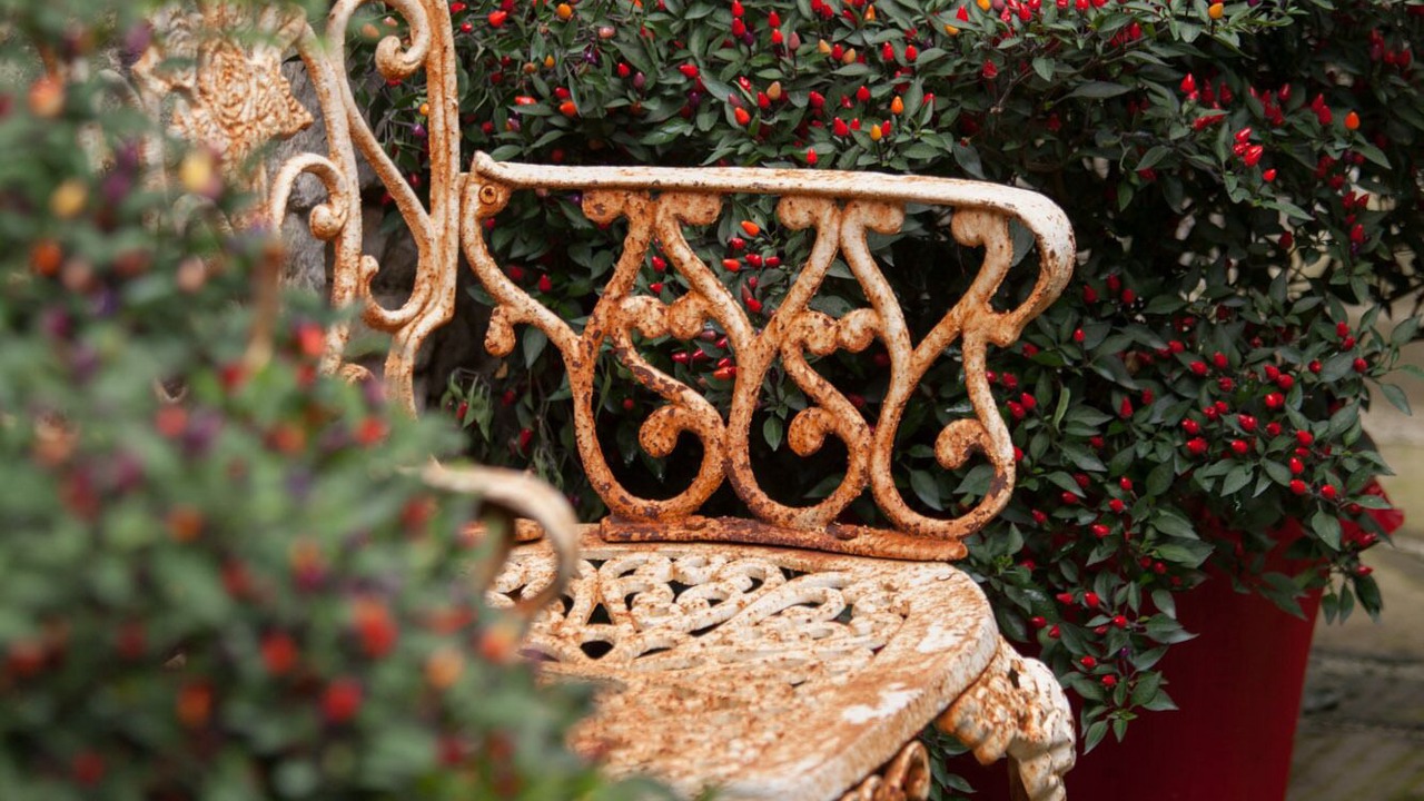 Photo of Patio Balcony in Boveglio