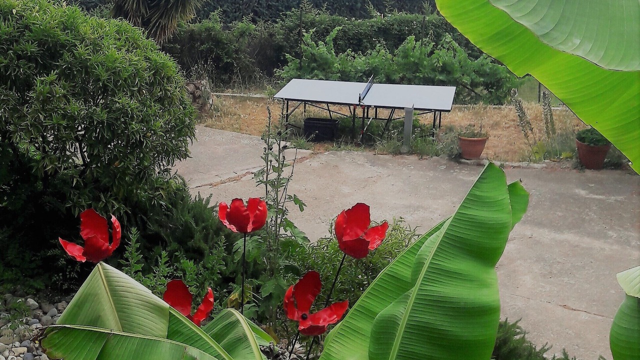 Photo of Outdoor in Tourrettes-sur-Loup