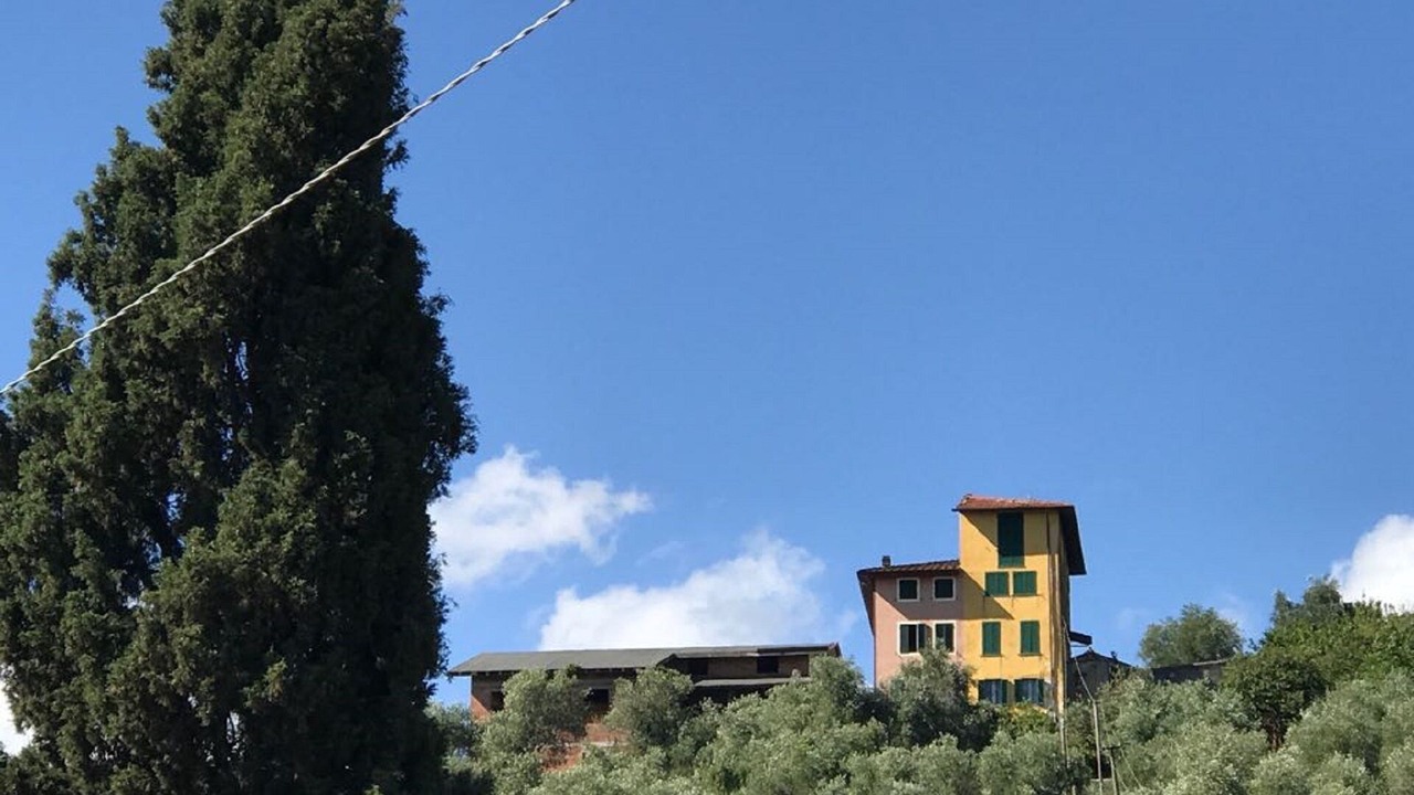 Photo of Outdoor in Piano di Mommio
