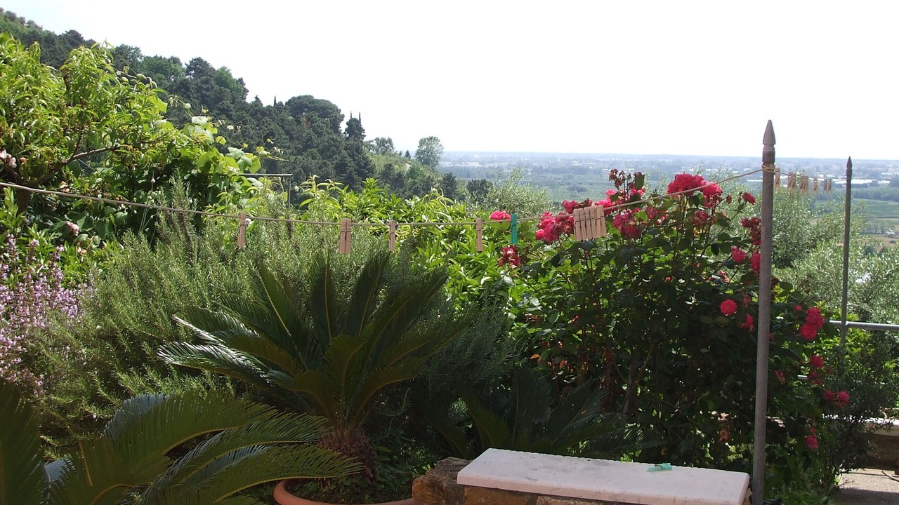Photo of Outdoor in Piano di Mommio