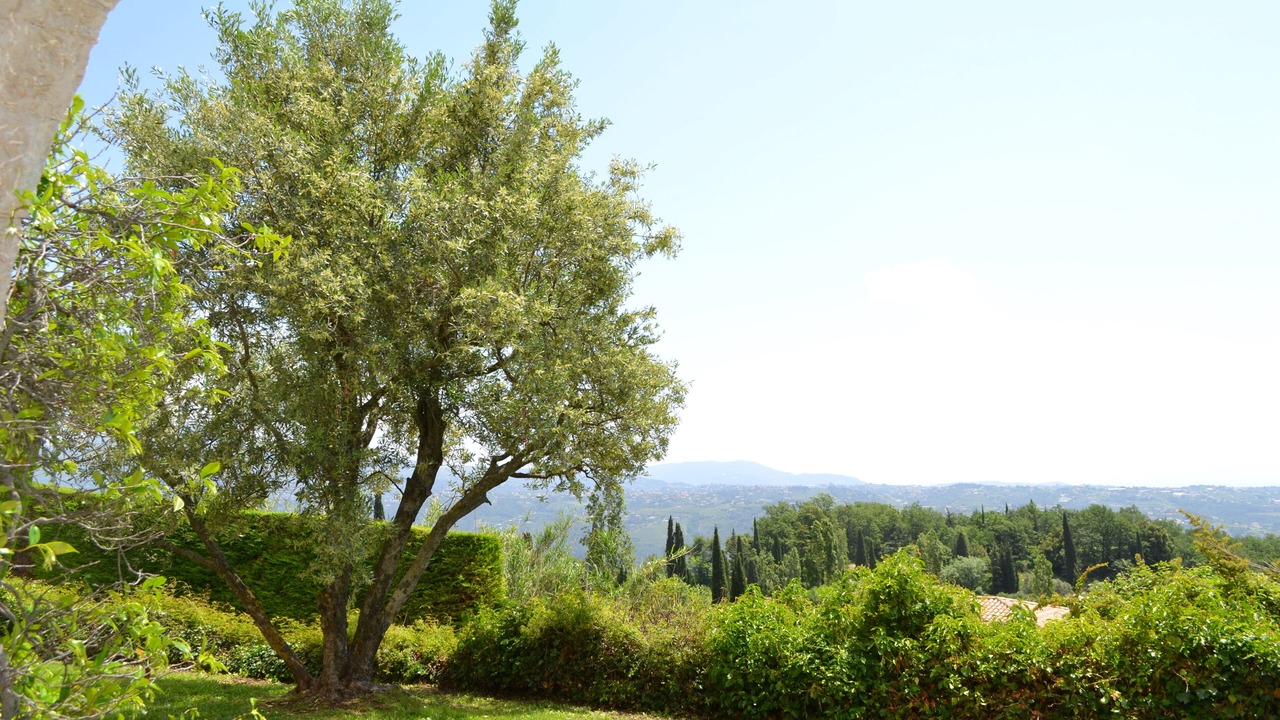 Photo of Outdoor in Saint-Jeannet