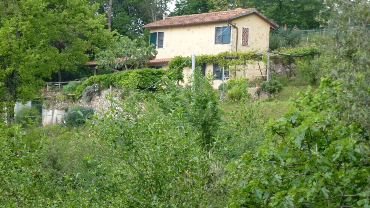 Photo of Outdoor in Capezzano