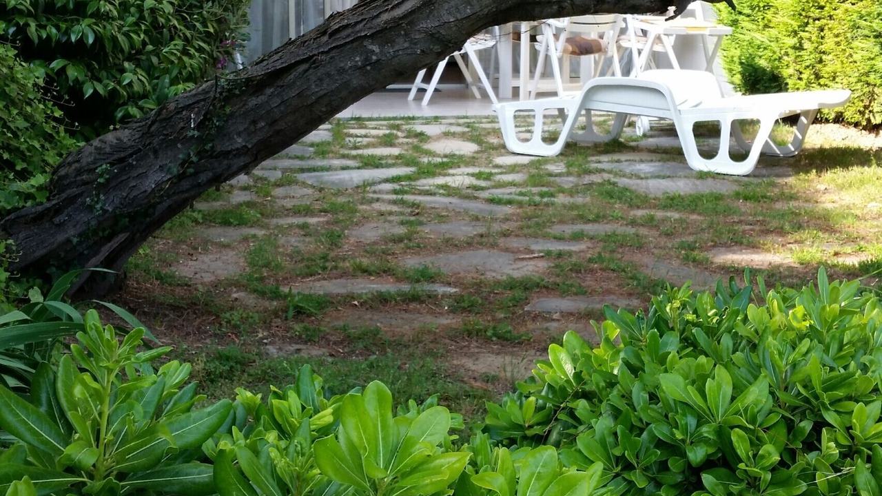 Photo of Outdoor in La Croix des Gardes