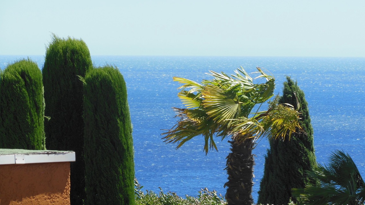 Photo of Outdoor in Theoule-Superieur