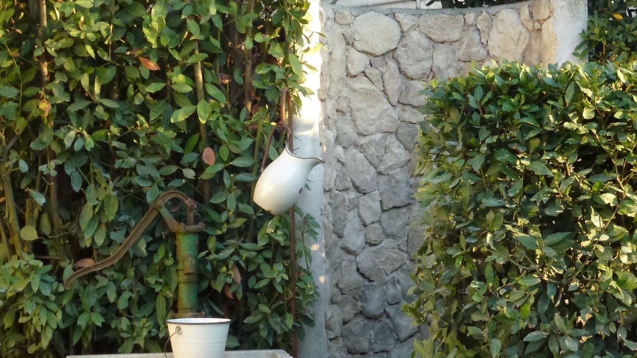 Photo of Outdoor in Camaiore