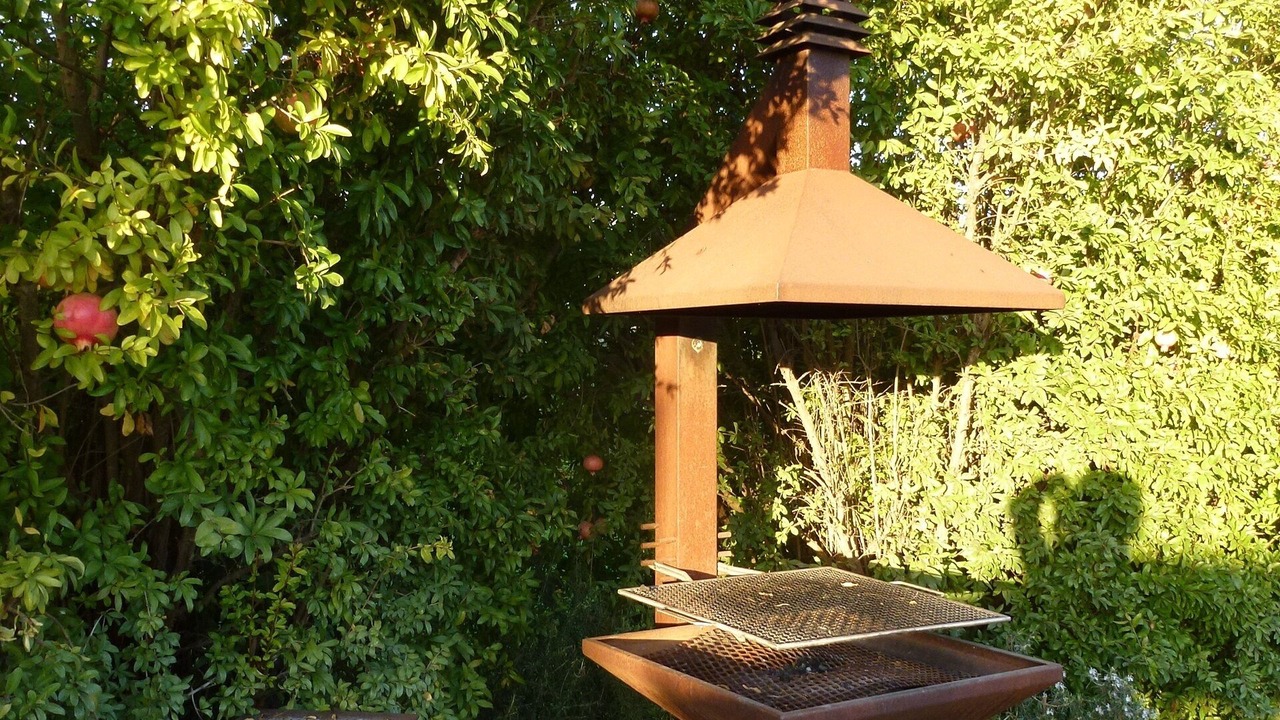 Photo of Outdoor in Camaiore