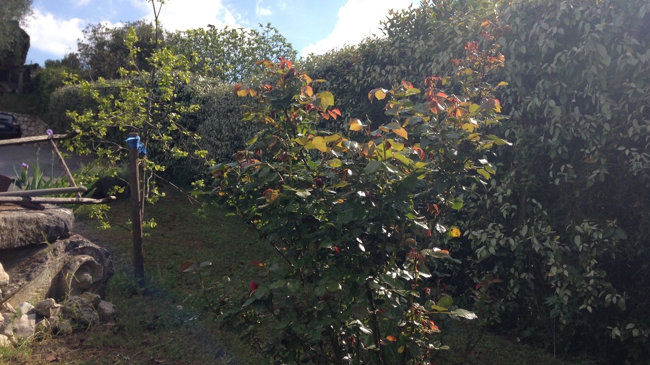 Photo of Outdoor in Vence