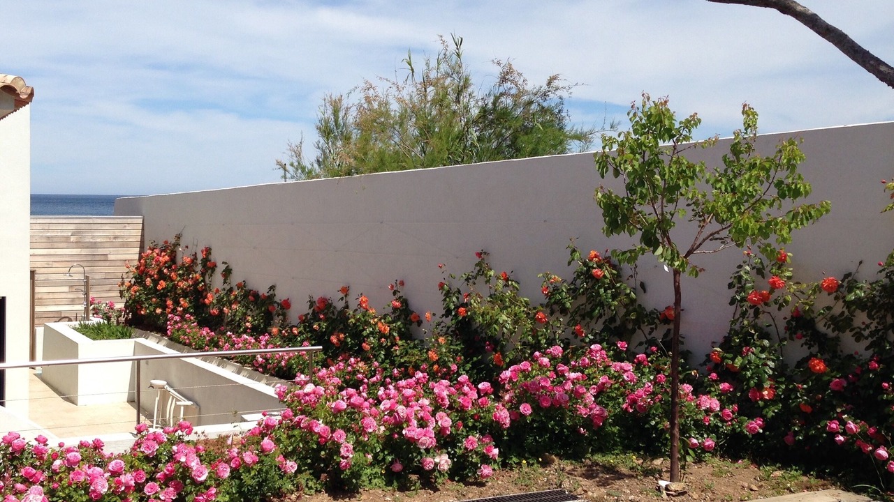 Photo of Outdoor in La Nartelle