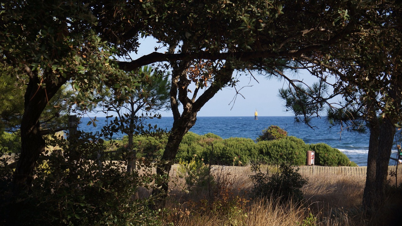 Photo of Outdoor in La Nartelle
