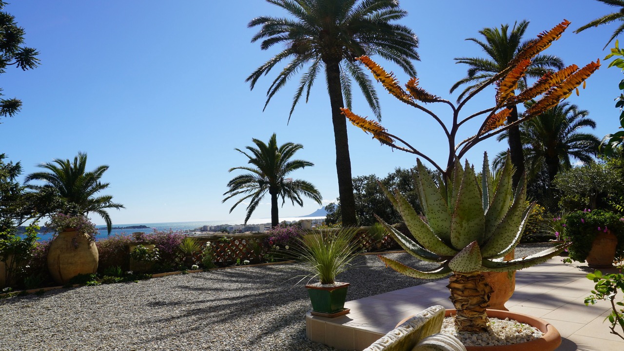 Photo of Outdoor in California - Pezou